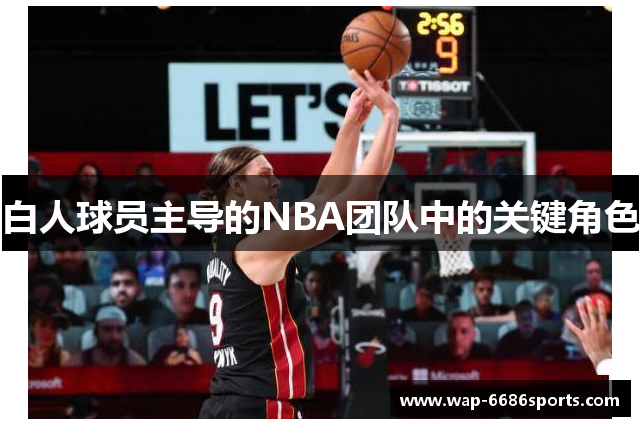 白人球员主导的NBA团队中的关键角色