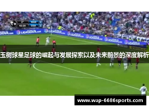 玉树球星足球的崛起与发展探索以及未来前景的深度解析