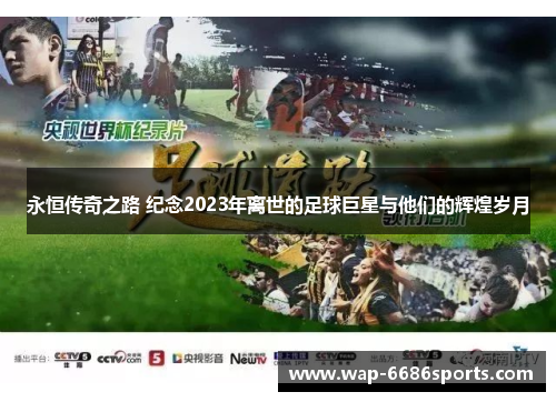 永恒传奇之路 纪念2023年离世的足球巨星与他们的辉煌岁月