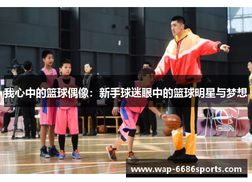 我心中的篮球偶像：新手球迷眼中的篮球明星与梦想